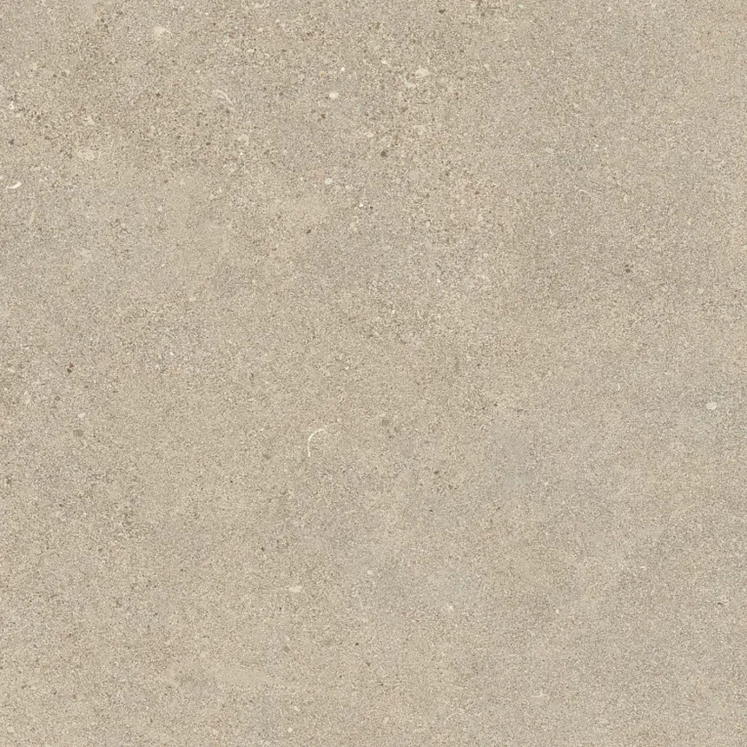 Arizona Intense 24" x 24" Matte Rectified Porcelain Tile