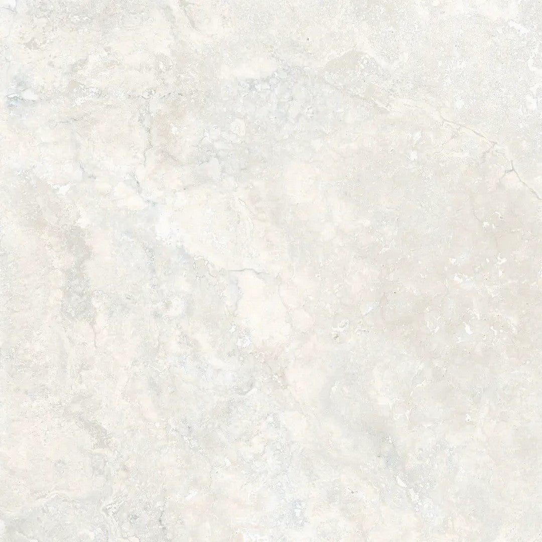 Arizona Invictus Cross Cut 24" x 24" Polished Rectified Porcelain Tile
