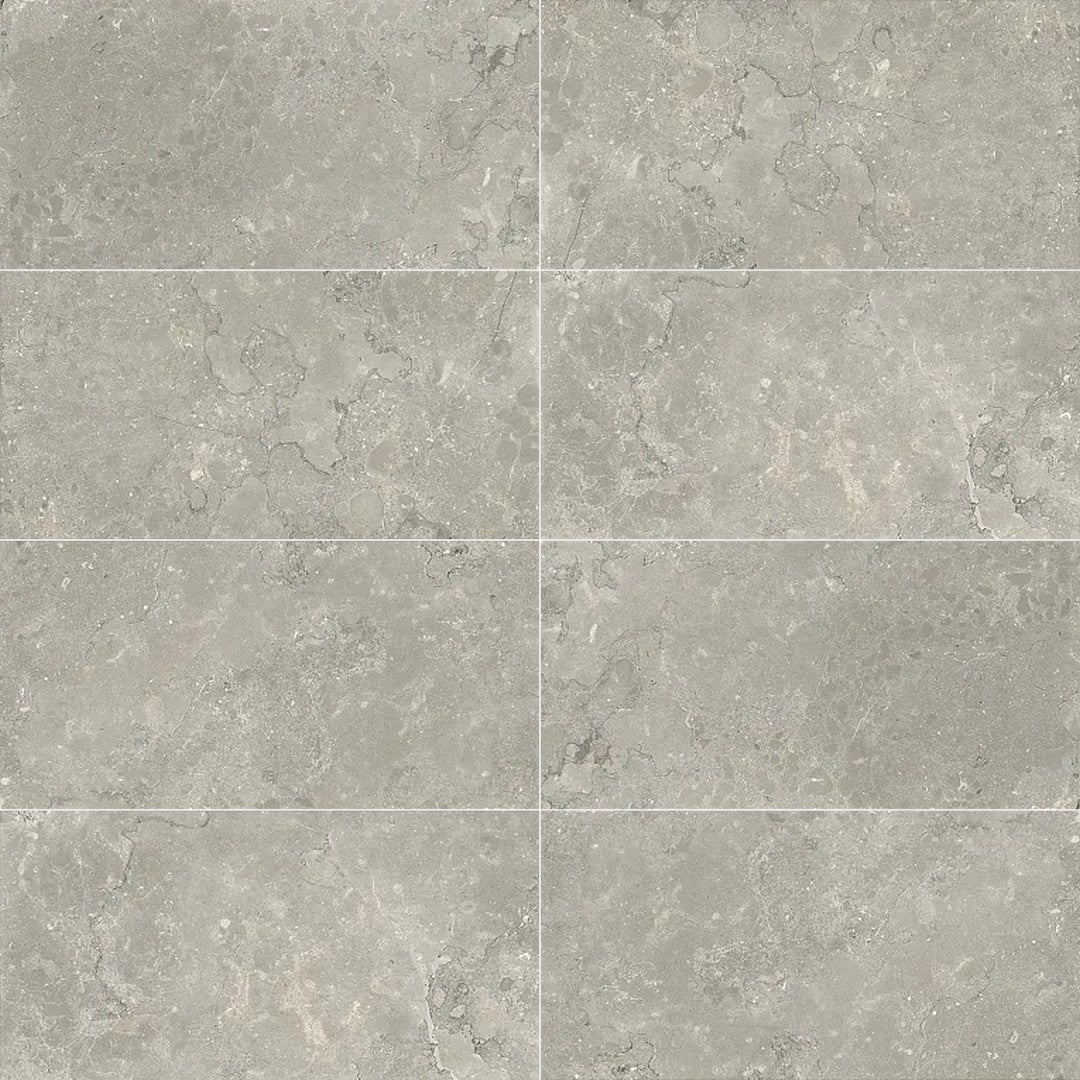 Arizona Lagos 12" x 24" Rectified Porcelain Tile