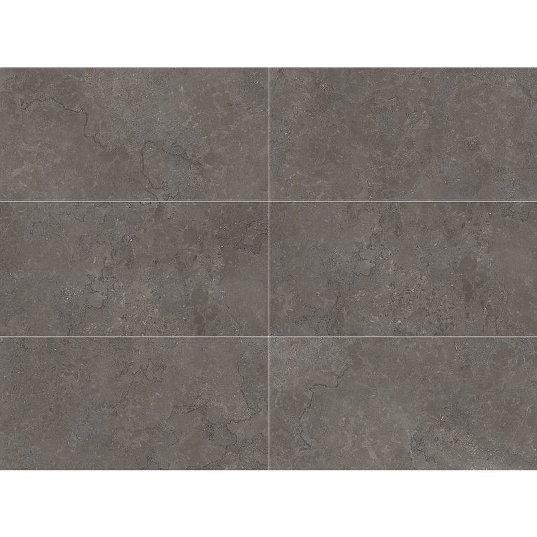 Arizona Lagos 24" x 48" Rectified Porcelain Tile