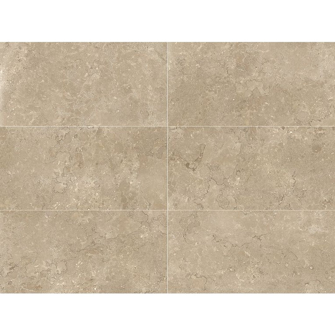 Arizona Lagos 24" x 48" Rectified Porcelain Tile
