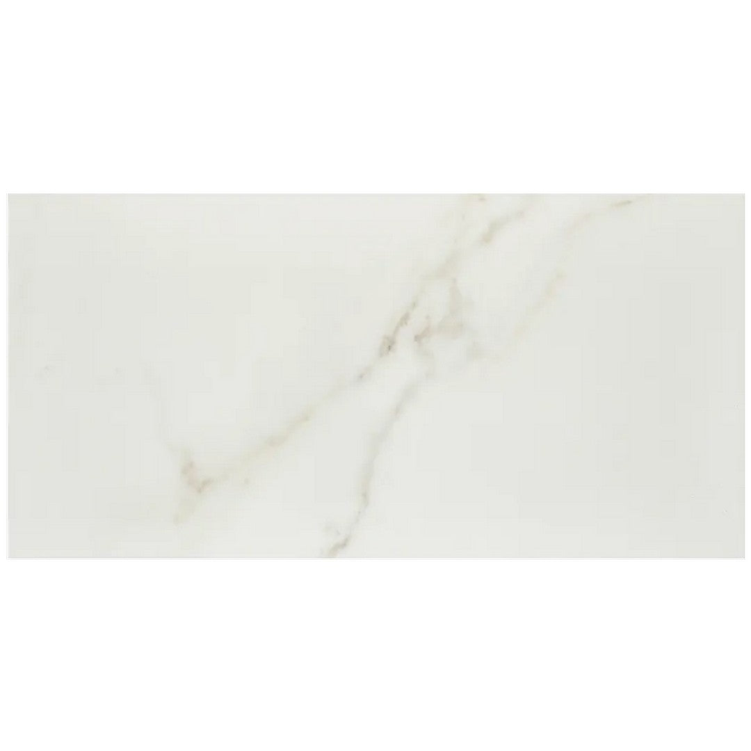 Arizona Marvel 12" x 24" Matte Rectified Porcelain Tile