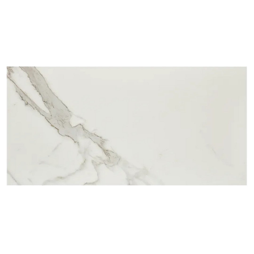 Arizona Marvel 12" x 24" Polished Rectified Porcelain Tile