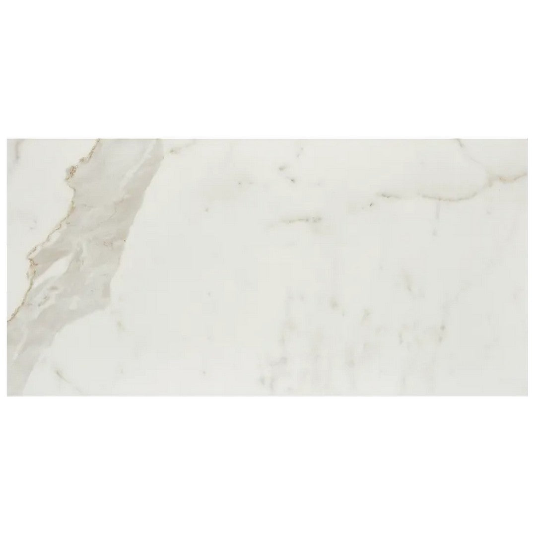 Arizona Marvel 12" x 24" Polished Rectified Porcelain Tile