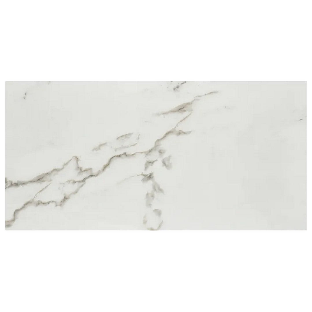 Arizona Marvel 12" x 24" Polished Rectified Porcelain Tile