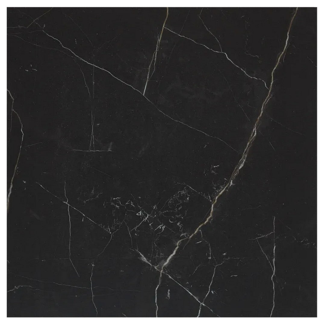 Arizona Marvel 24" x 24" Polished Rectified Porcelain Tile