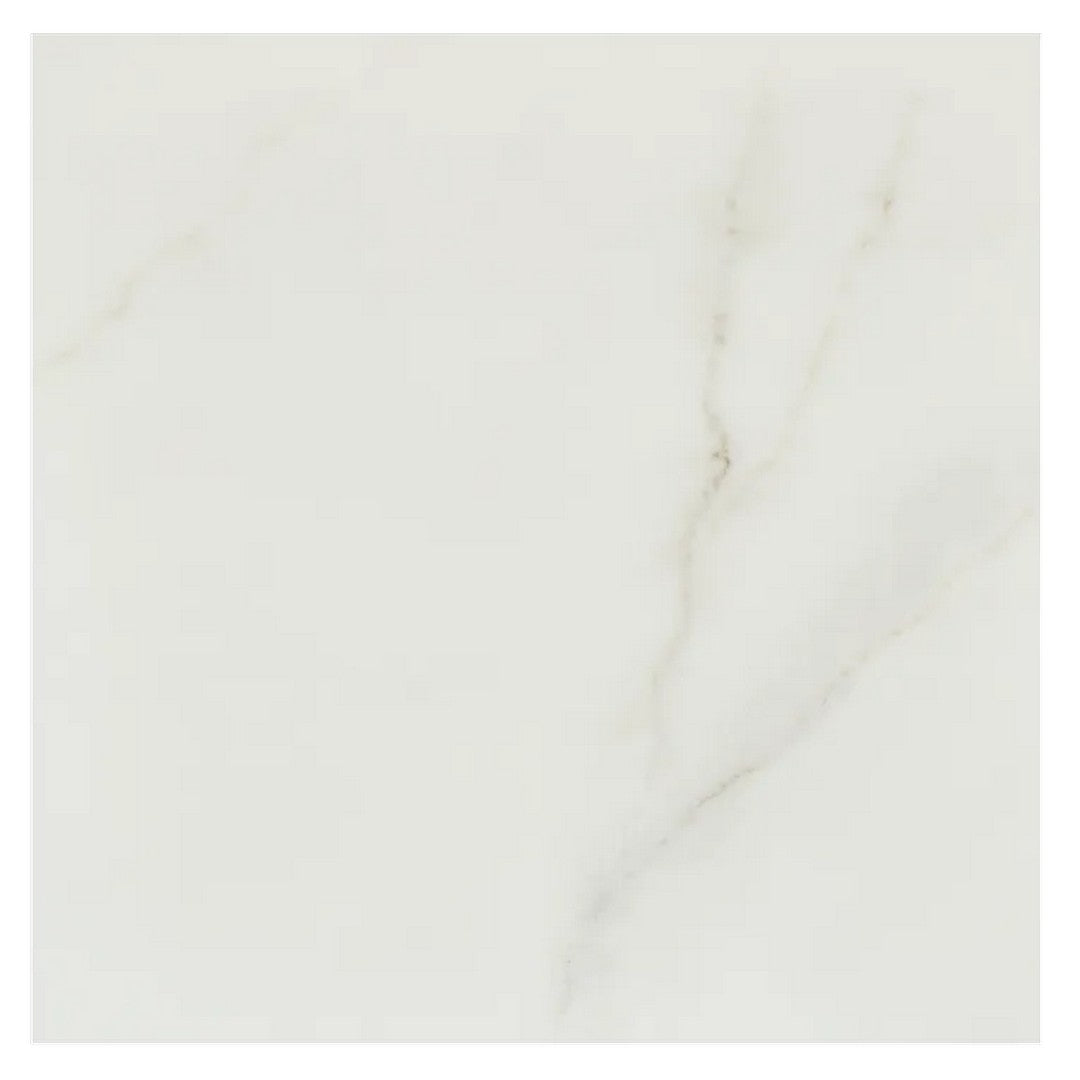 Arizona Marvel 24" x 24" Matte Rectified Porcelain Tile