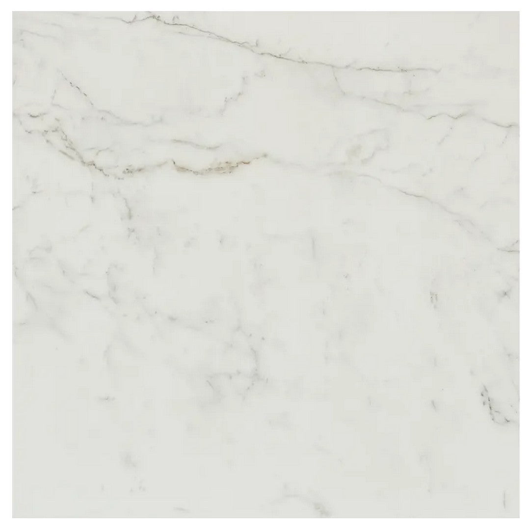 Arizona Marvel 24" x 24" Polished Rectified Porcelain Tile