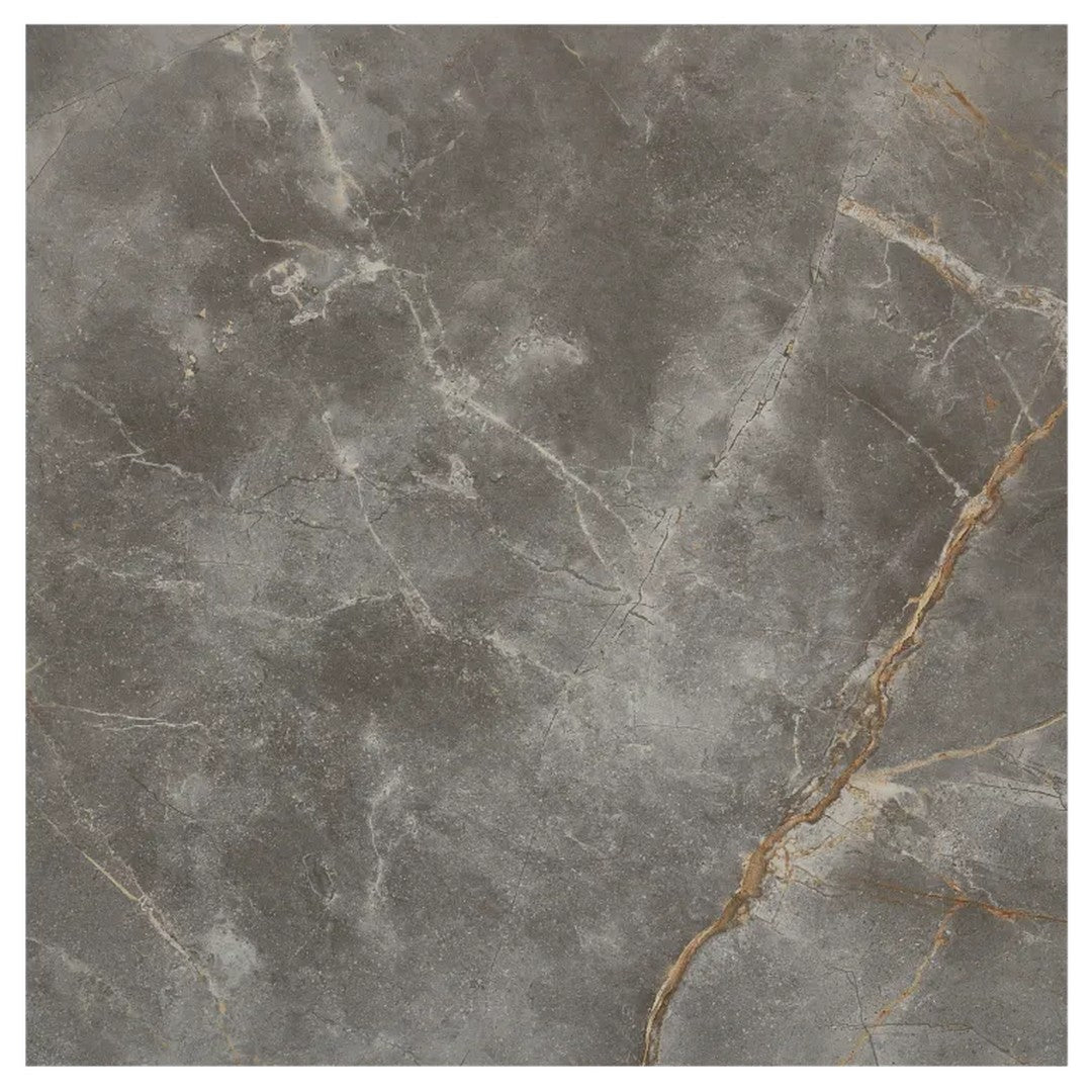 Arizona Marvel 24" x 24" Polished Rectified Porcelain Tile