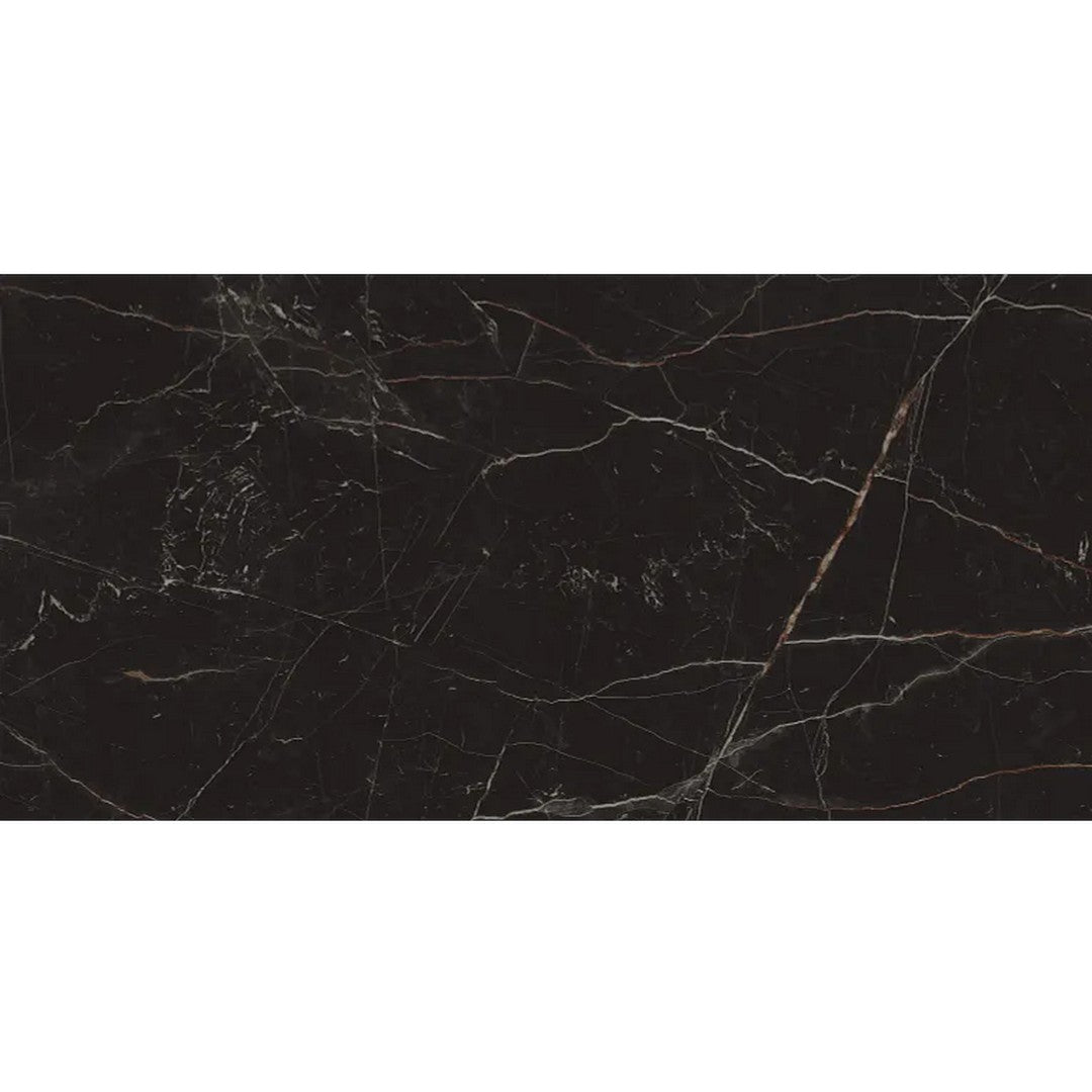 Arizona Marvel 24" x 48" Polished Rectified Porcelain Tile