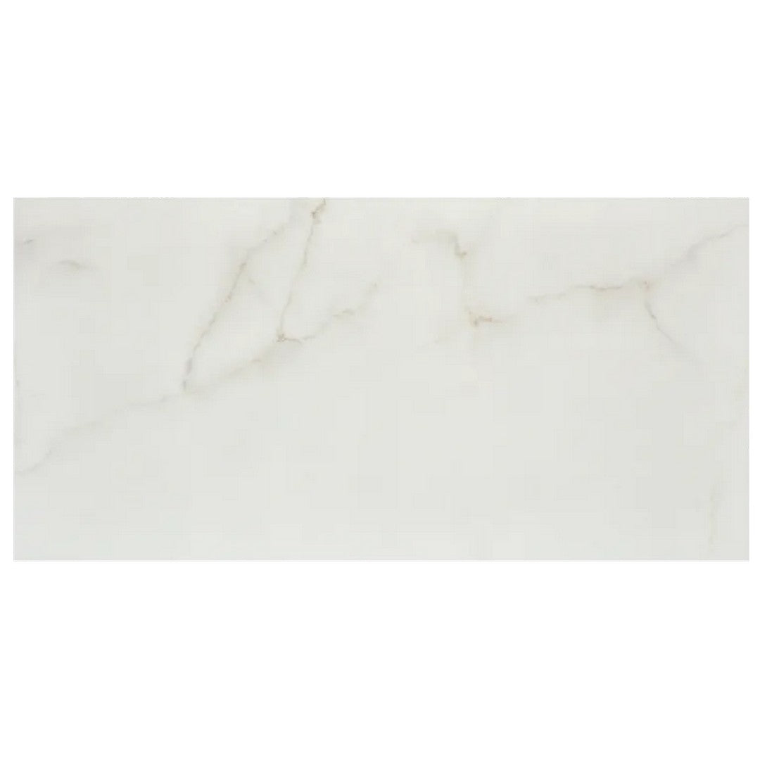 Arizona Marvel 24" x 48" Matte Rectified Porcelain Tile