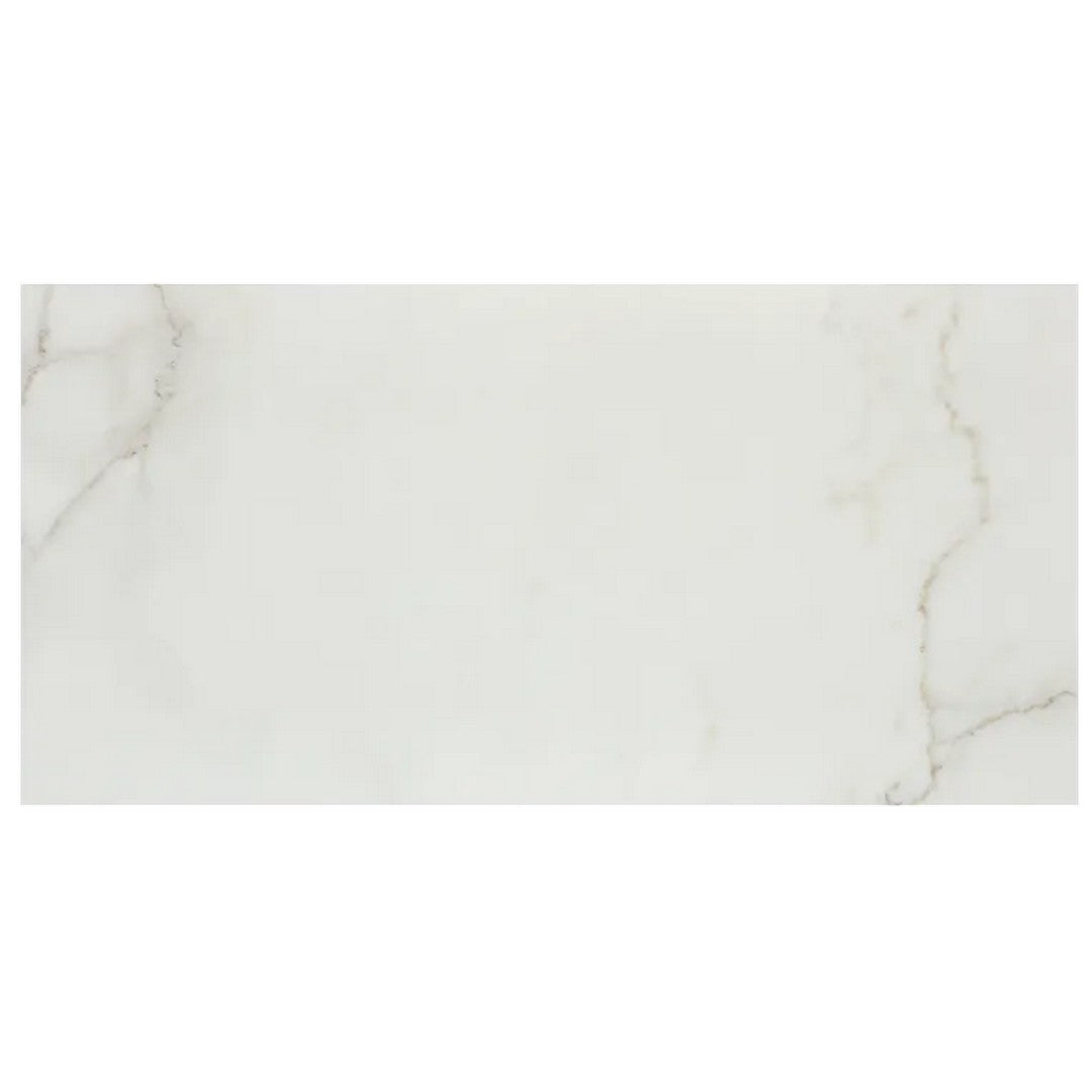 Arizona Marvel 24" x 48" Polished Rectified Porcelain Tile