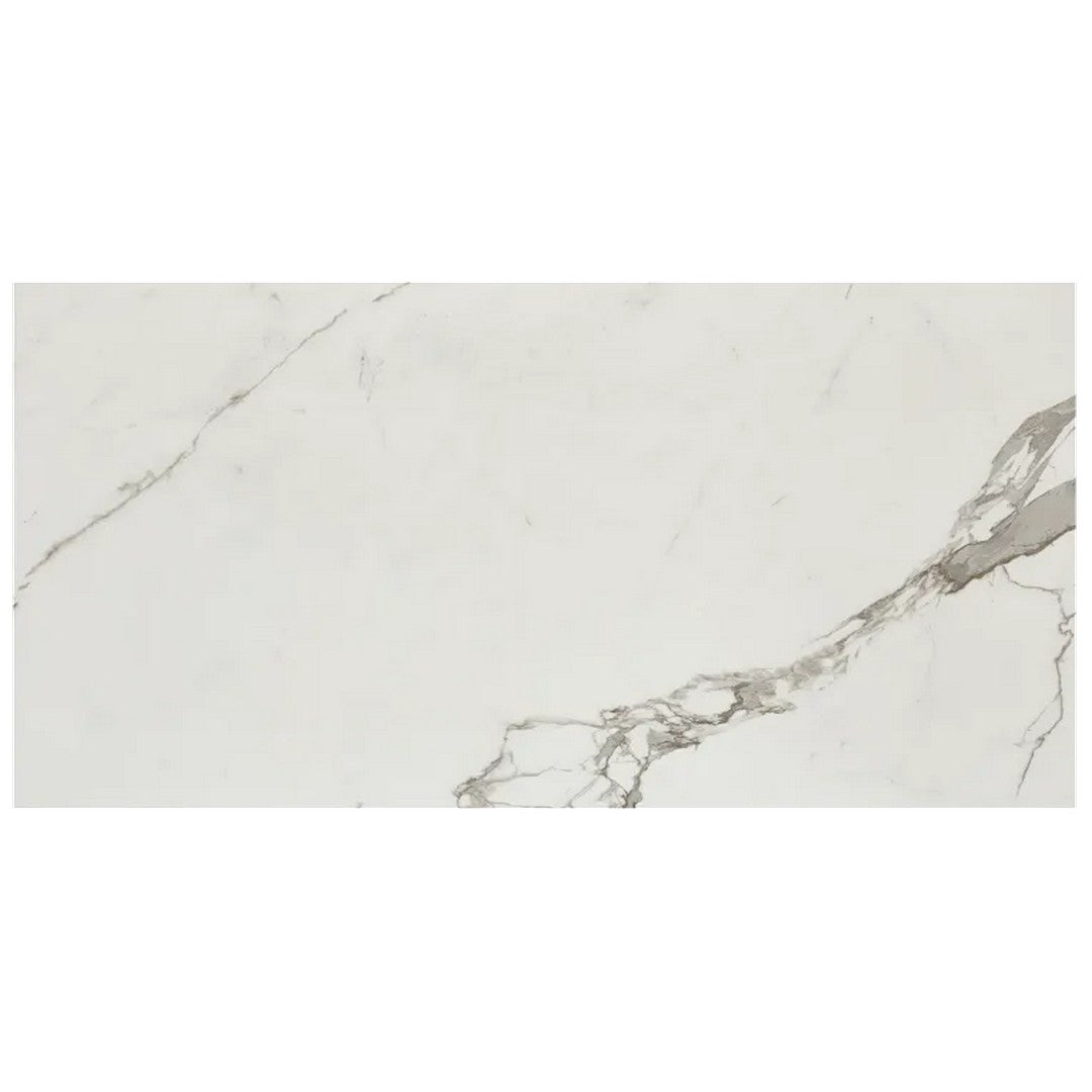 Arizona Marvel 24" x 48" Matte Rectified Porcelain Tile