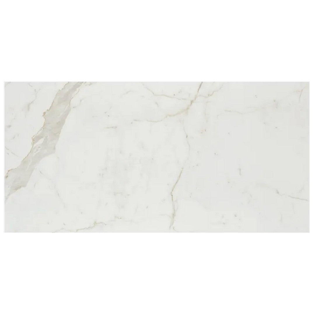 Arizona Marvel 24" x 48" Polished Rectified Porcelain Tile