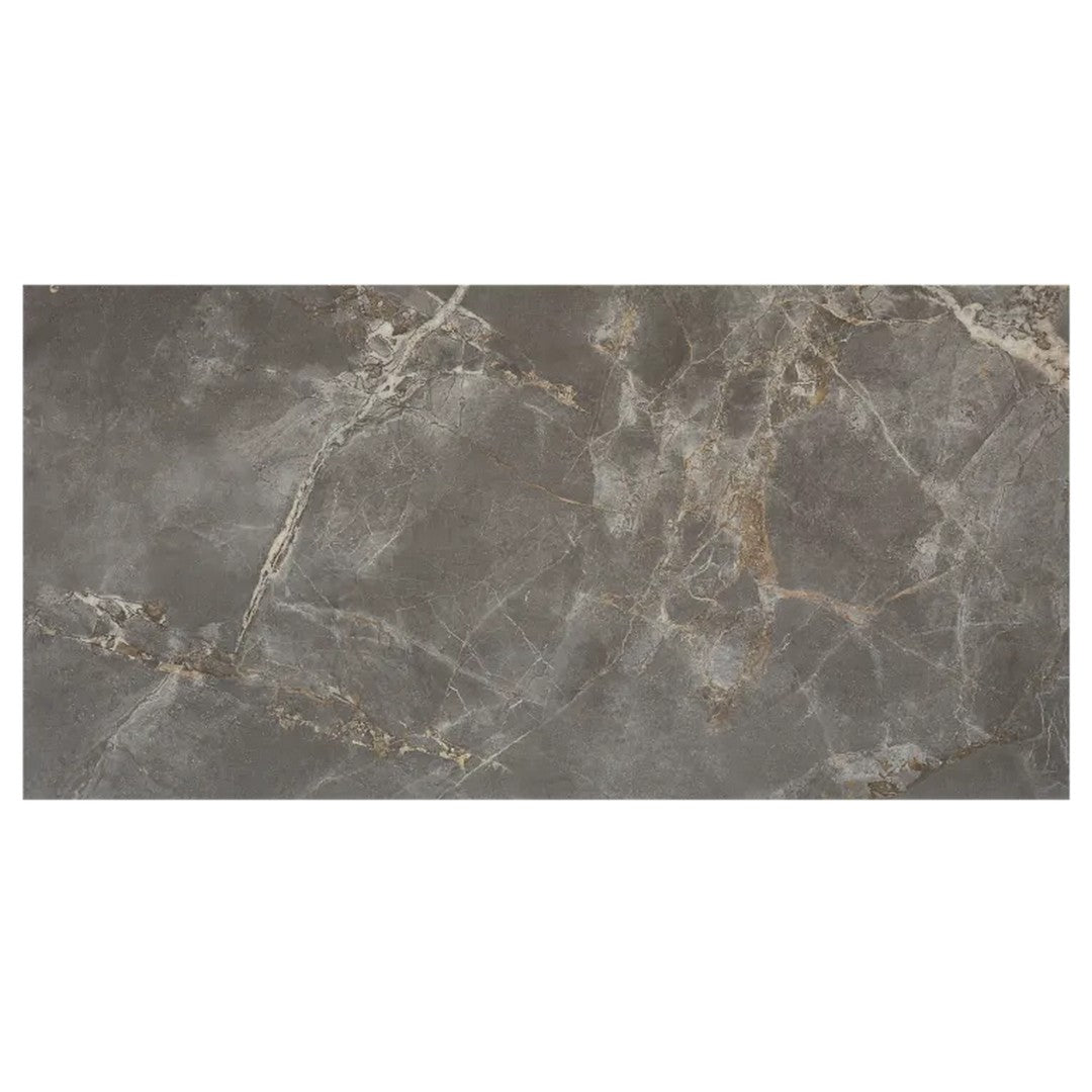 Arizona Marvel 24" x 48" Polished Rectified Porcelain Tile