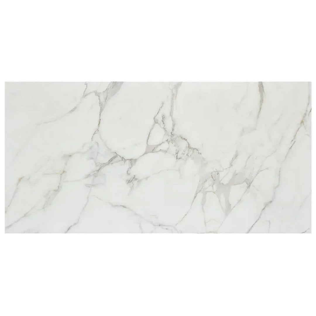 Arizona Marvel 24" x 48" Polished Rectified Porcelain Tile