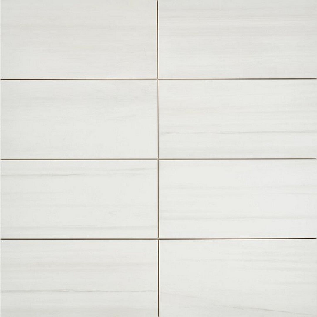 Arizona Themar 12" x 24" Polished Rectified Glazed Porcelain Tile