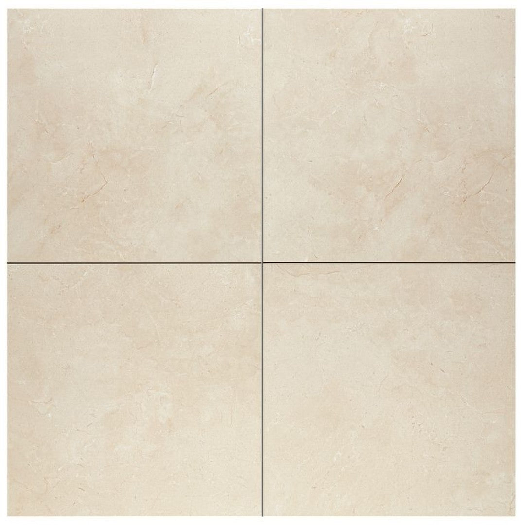 Arizona Themar 24" x 24" Polished Rectified Glazed Porcelain Tile