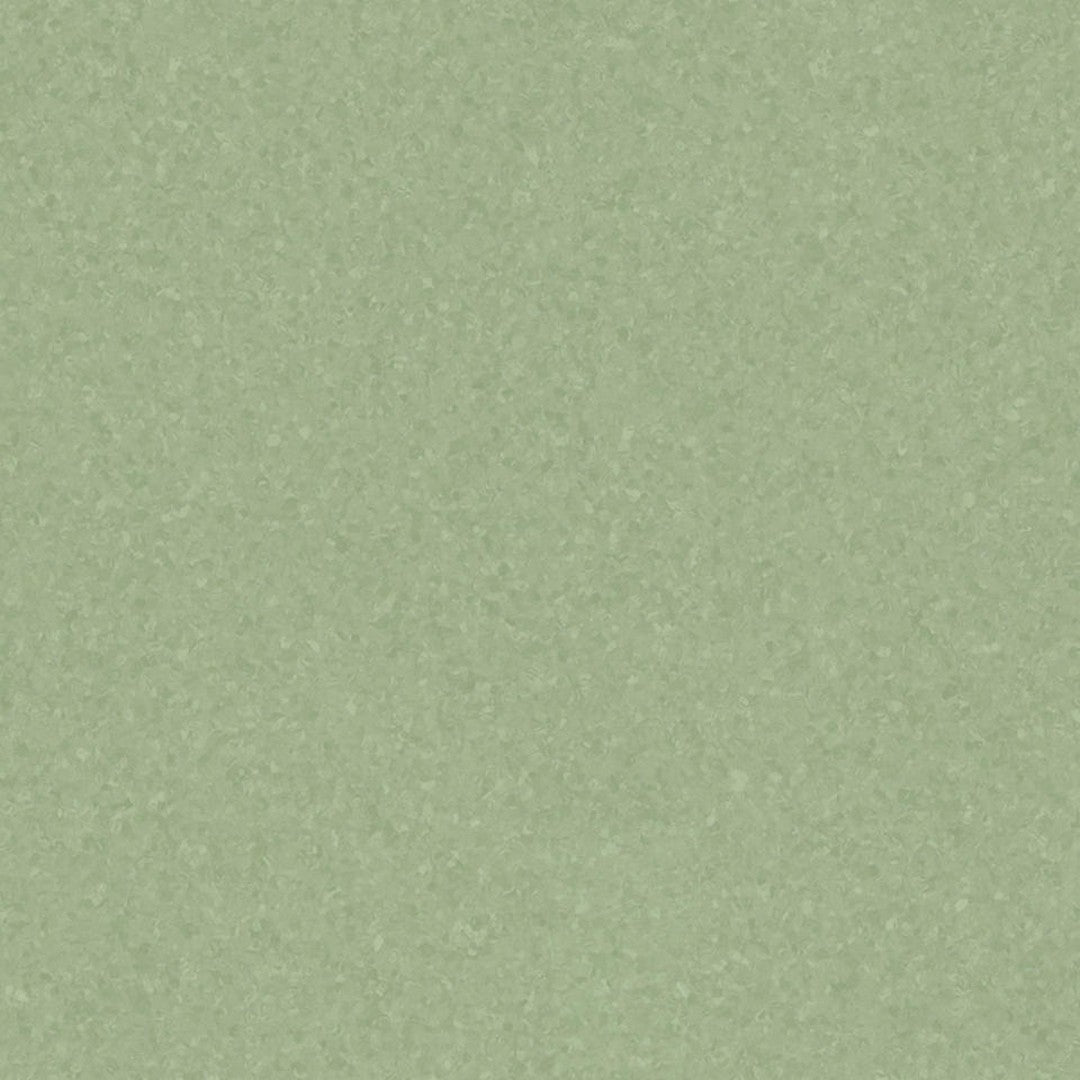 Tarkett Melodia 24" x 24" Homogeneous Vinyl Tile