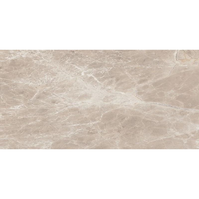 Floors 2000 Alpha 12" x 24" Rectified Polished Porcelain Tile