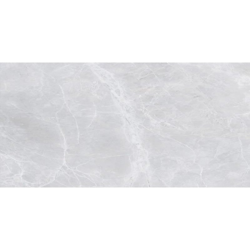 Floors 2000 Alpha 12" x 24" Rectified Matte Porcelain Tile