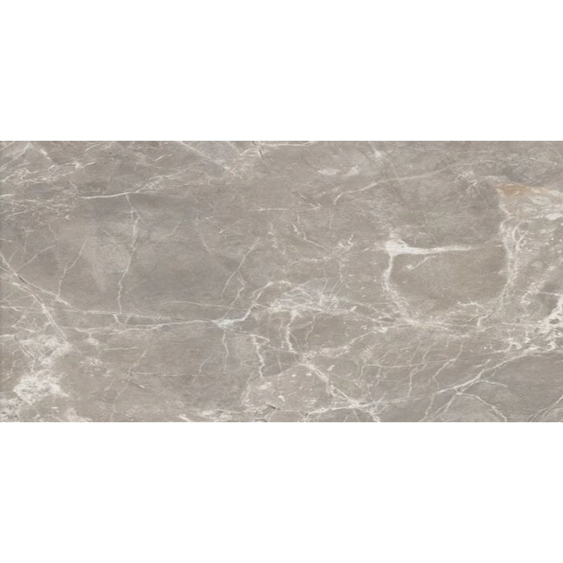Floors 2000 Alpha 12" x 24" Rectified Matte Porcelain Tile