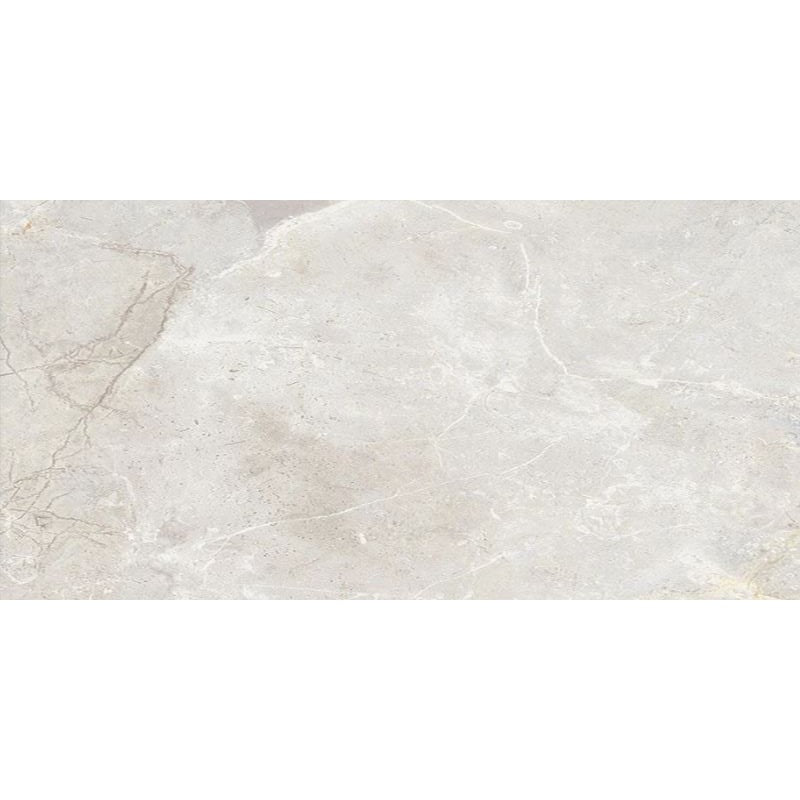 Floors 2000 Amazon 12" x 24" Rectified Matte Porcelain Tile