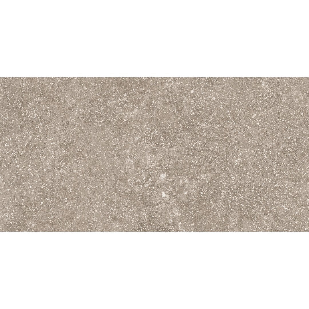 Crossville Beljn 12" x 24" Unpolished Porcelain Tile