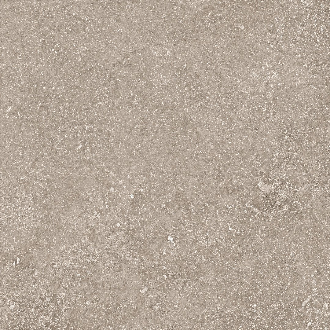 Crossville Beljn 24" x 24" Unpolished Porcelain Tile
