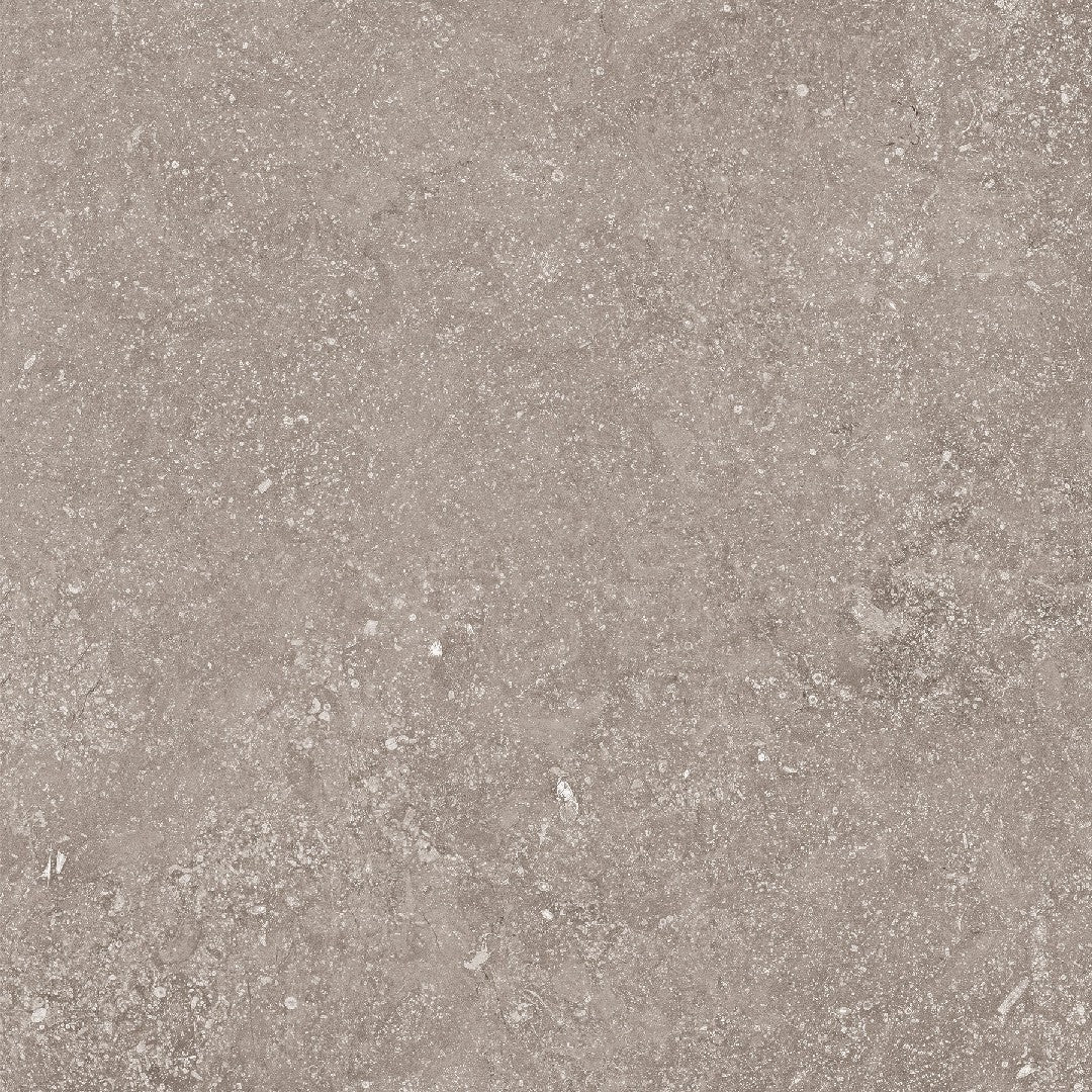 Crossville Beljn 24" x 24" Unpolished Porcelain Tile