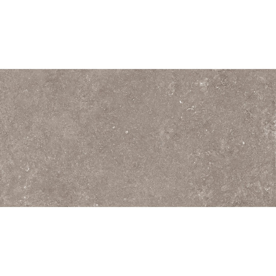 Crossville Beljn 24" x 48" Unpolished Porcelain Tile