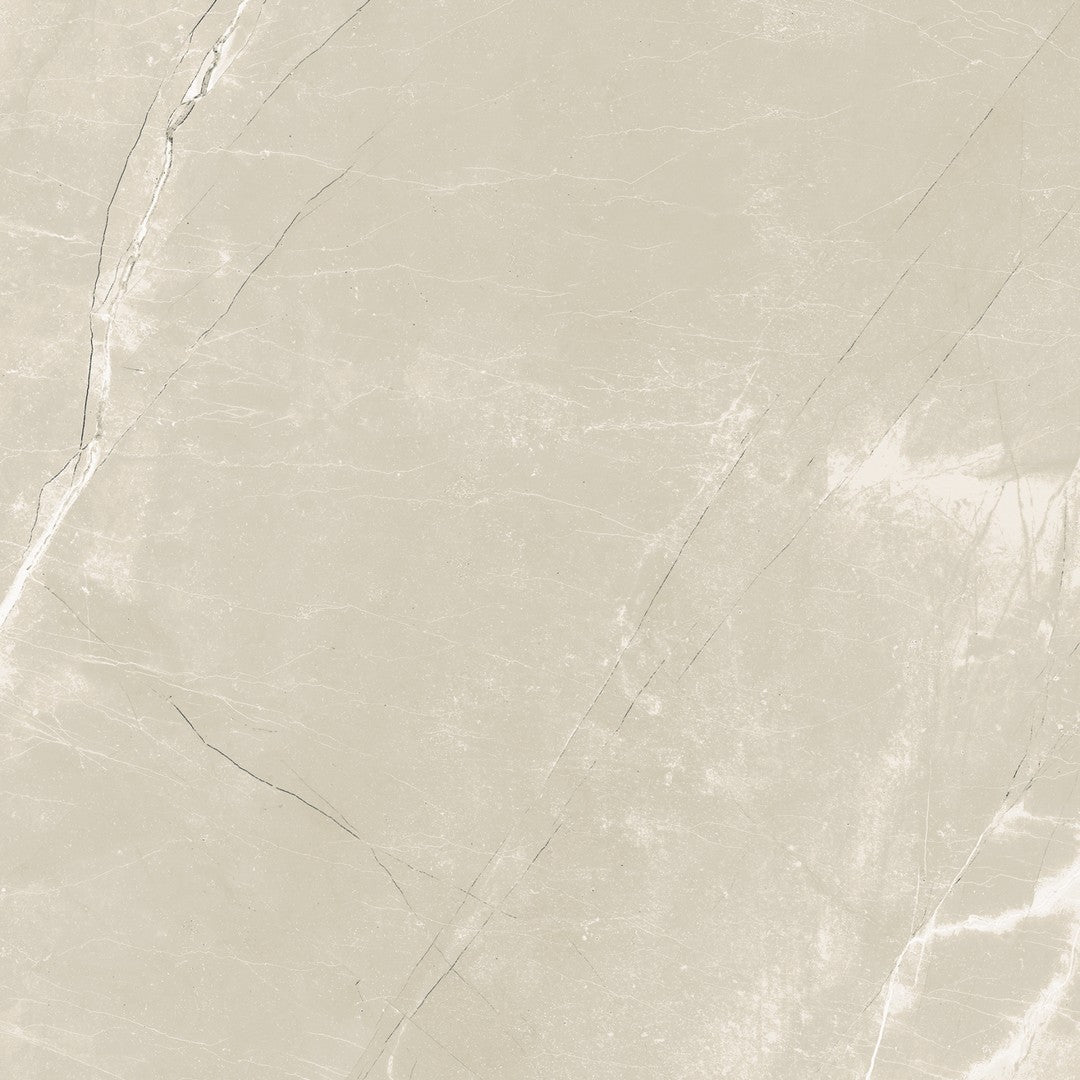 Tesoro Classic Marble 24" x 24" Rectified Polished Porcelain Tile