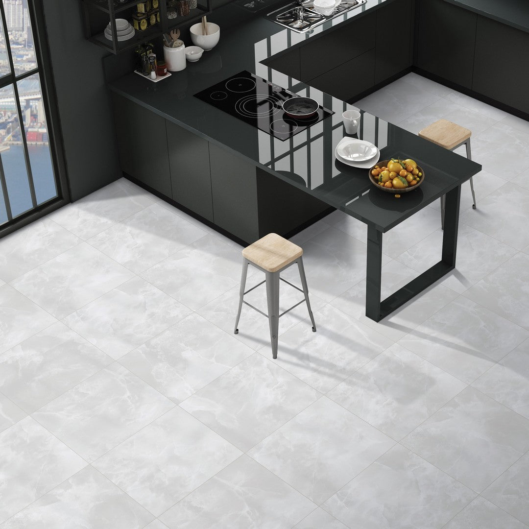 Tesoro-Lizart-24-x-24-Rectified-Matte-Porcelain-Tile-Ice