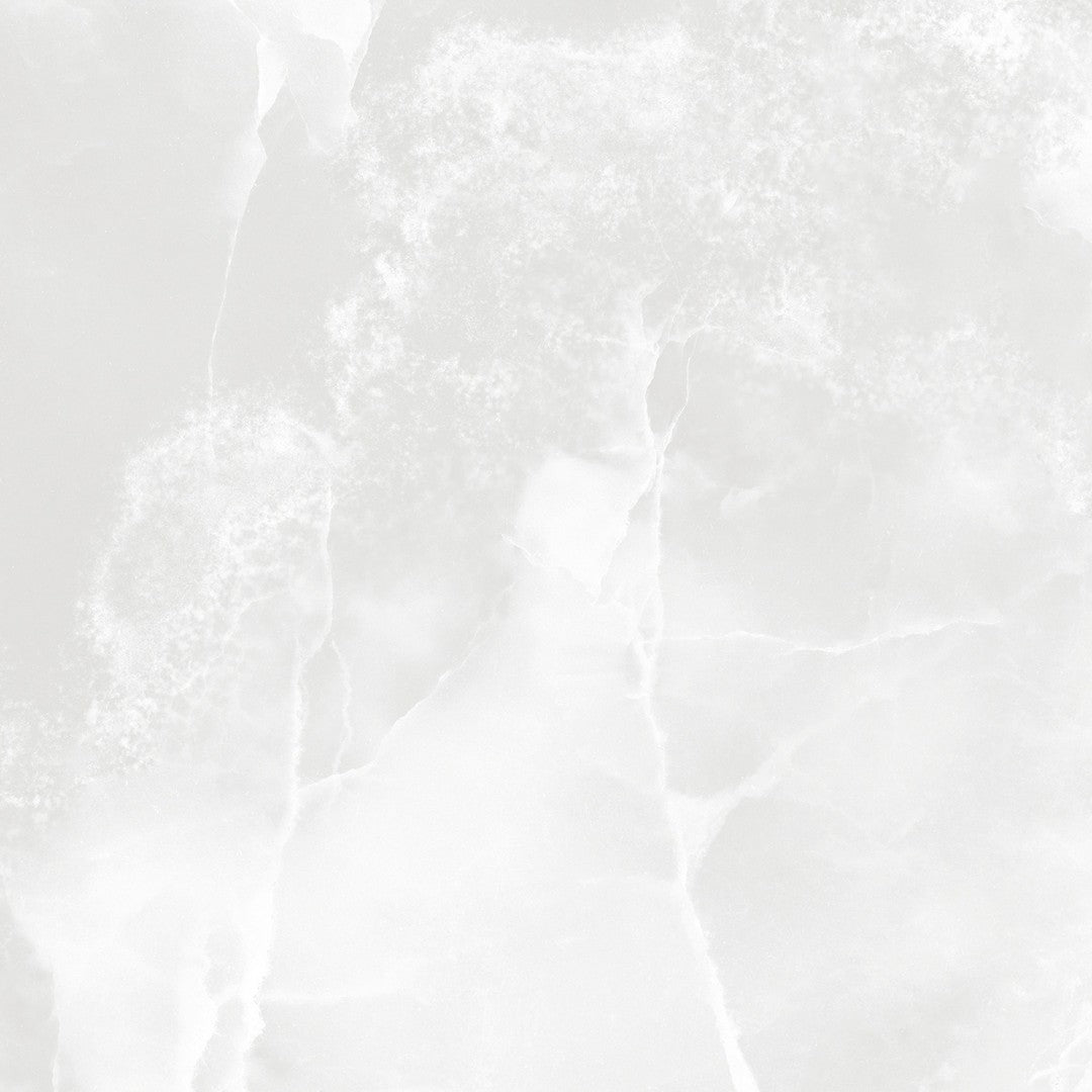 Tesoro Lizart 24" x 24" Rectified Polished Porcelain Tile