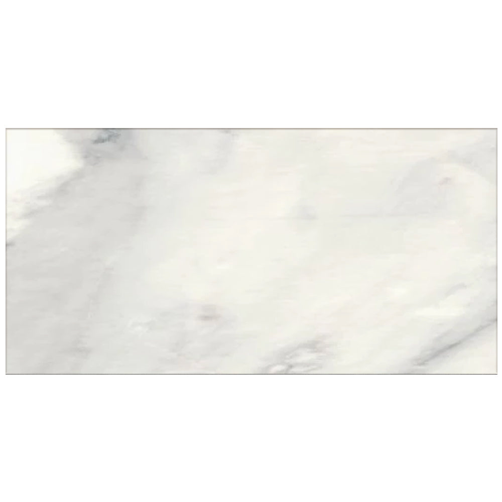 Happy Floors Bardiglio 16" x 32" Rectified Polished Porcelain Tile