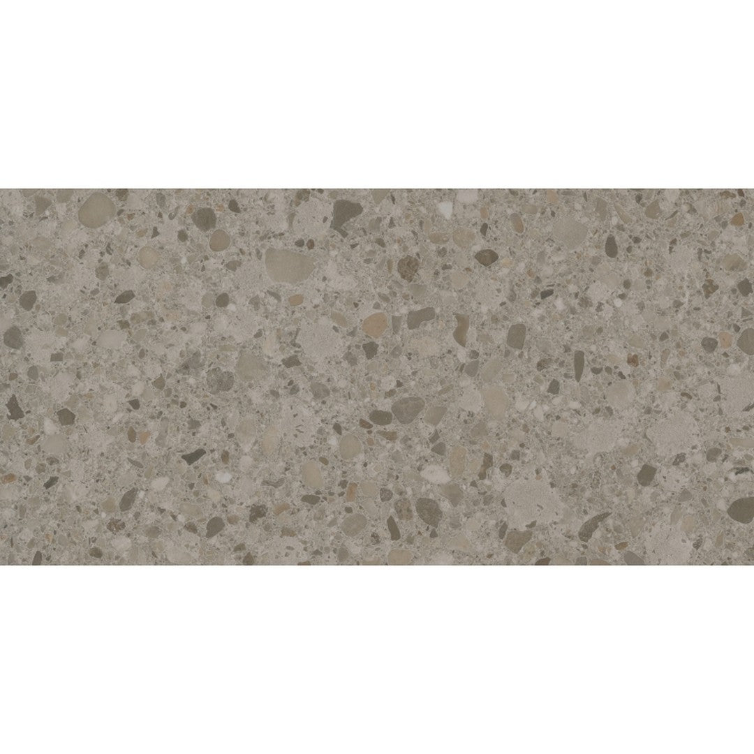 Emser Mixt 12" x 24" Rectified Matte Porcelain Flake Tile