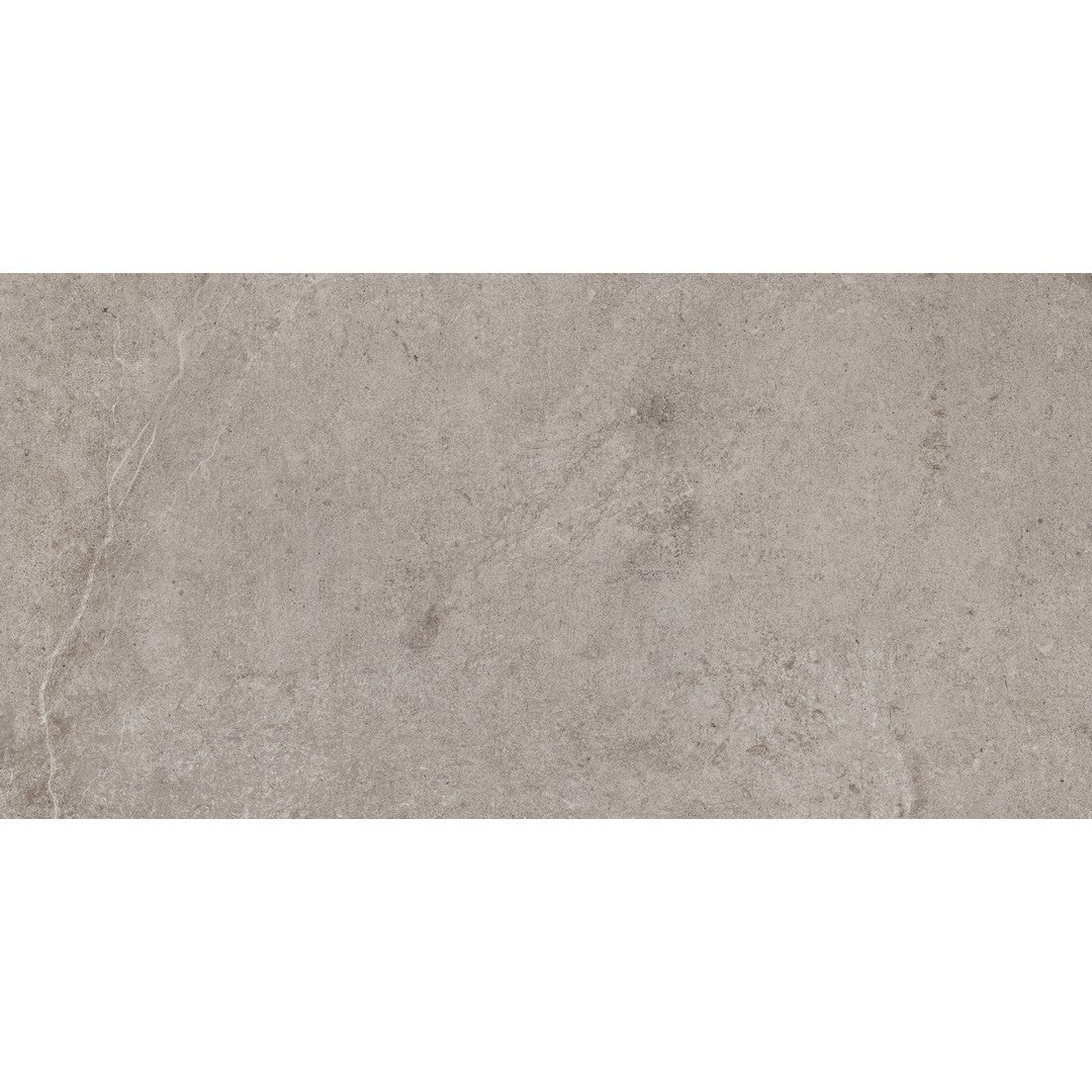 Tesoro Evolution 12" x 24" Rectified Matte Porcelain Tile