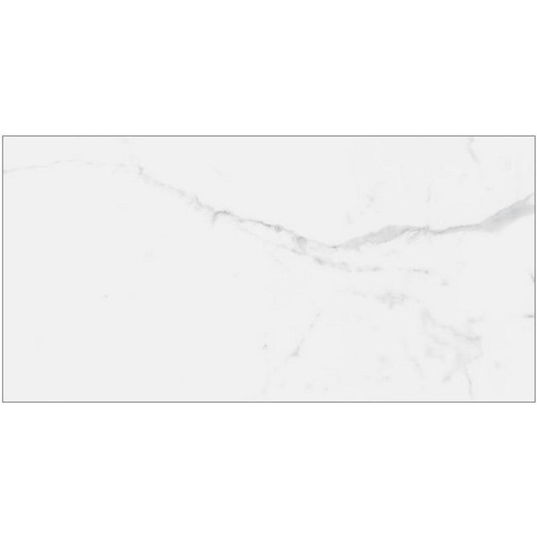 Tesoro Avalon 12" x 24" Pressed Matte Porcelain Tile