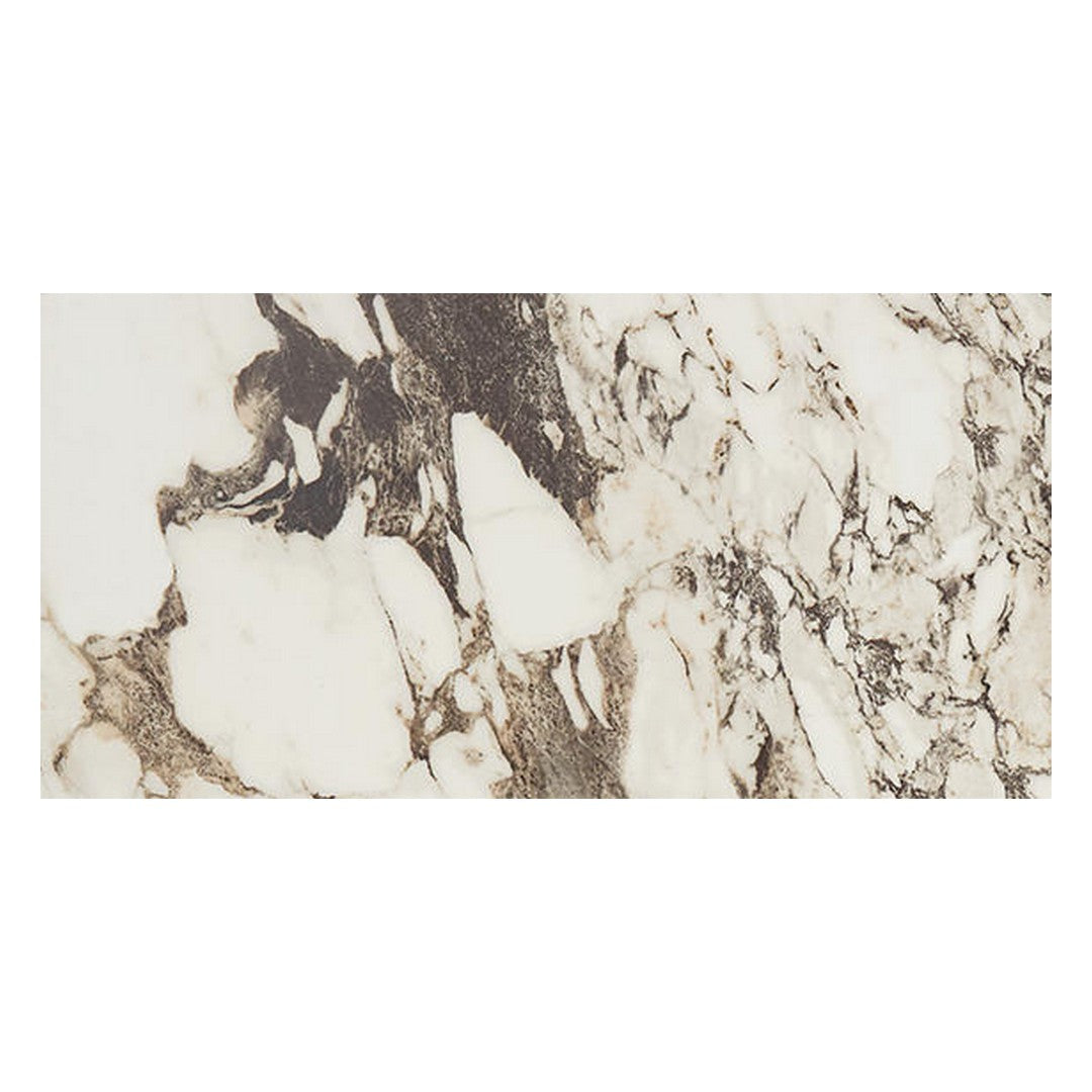 Daltile Panoramic Duet 12" X 24" Polished Porcelain Floor Tile