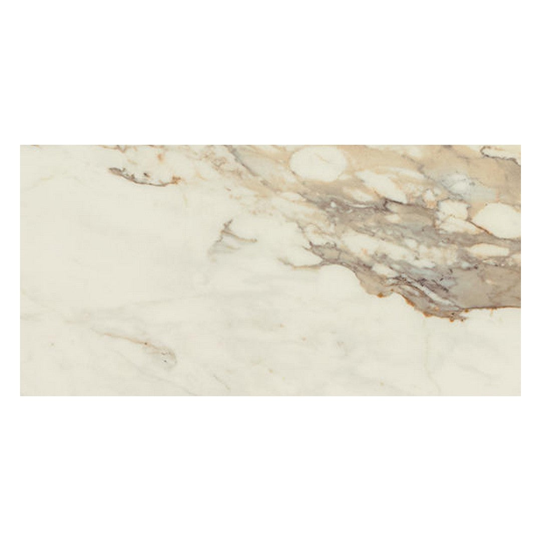 Daltile Panoramic Duet 12" X 24" Polished Porcelain Floor Tile