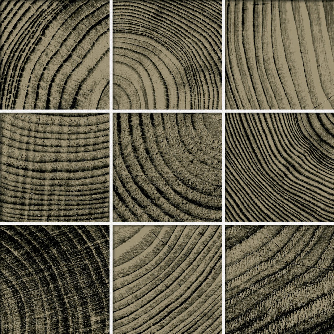 Crossville Convergence 12" x 12" Polished Glass 4" Mosaic