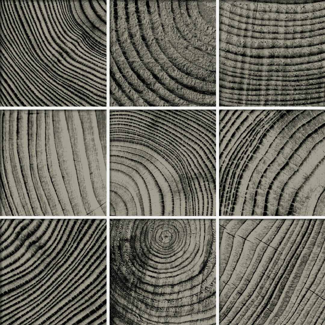 Crossville Convergence 12" x 12" Polished Glass 4" Mosaic