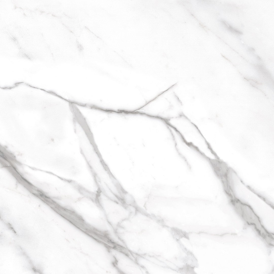 Daltile-Platinum-12-x-12-Matte-Porcelain-Floor-Tile-Calacatta-Empire