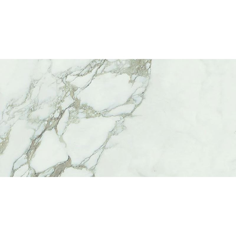 Floors 2000 Classica 12" x 24" Pressed Matte Porcelain Tile