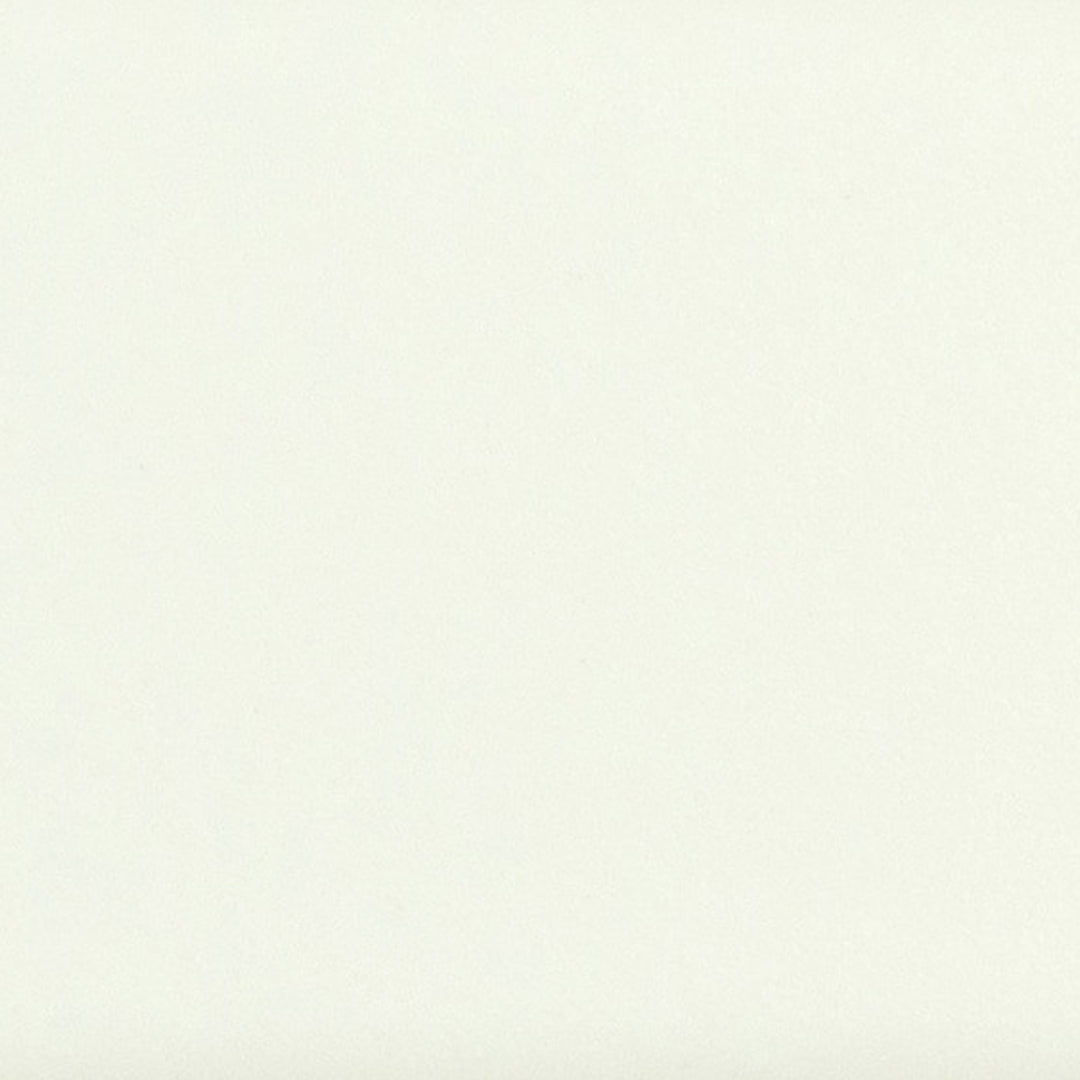 Daltile-Colormatch-4-x-4-Matte-Ceramic-Wall-Tile-Matte-Pearl-White