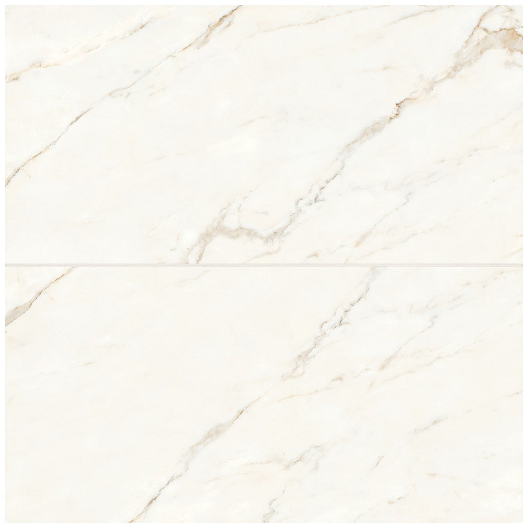 Bedrosians Magnifica ERA 12" x 24" Honed Porcelain Tile