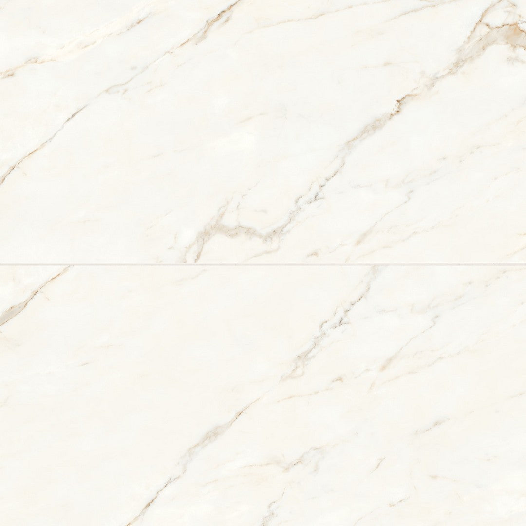 Bedrosians Magnifica 24" x 48" Porcelain Calacatta Oro 8mm Tile