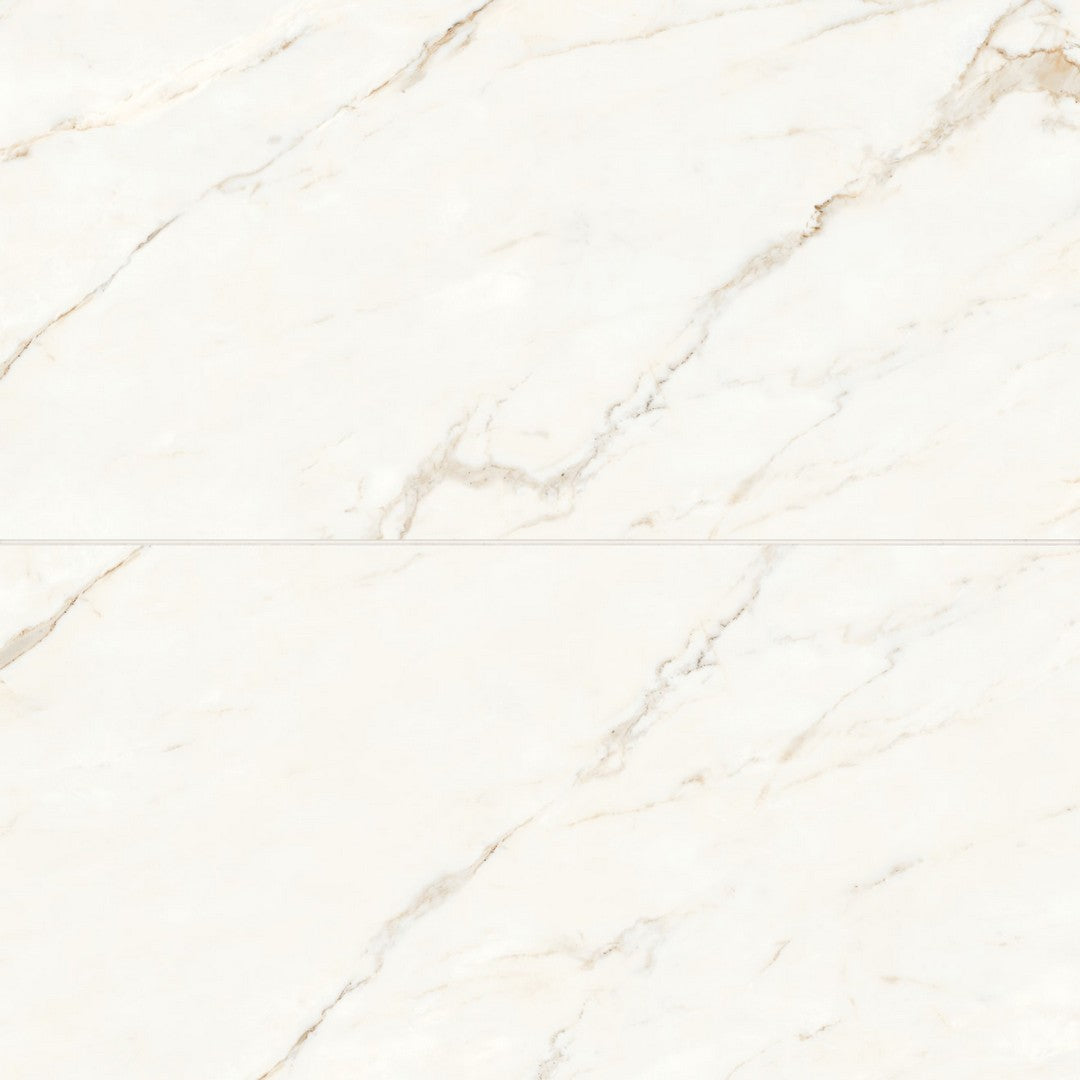 Bedrosians Magnifica 24" x 48" Porcelain Calacatta Oro Polished 8mm Tile