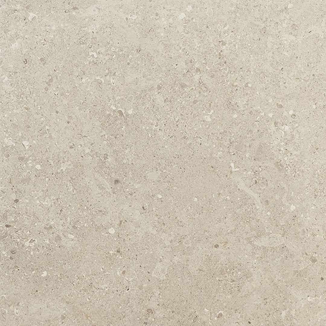 Daltile-Dignitary-24-x-24-Rectified-Matte-Porcelain-Floor-Tile-Governor-Black