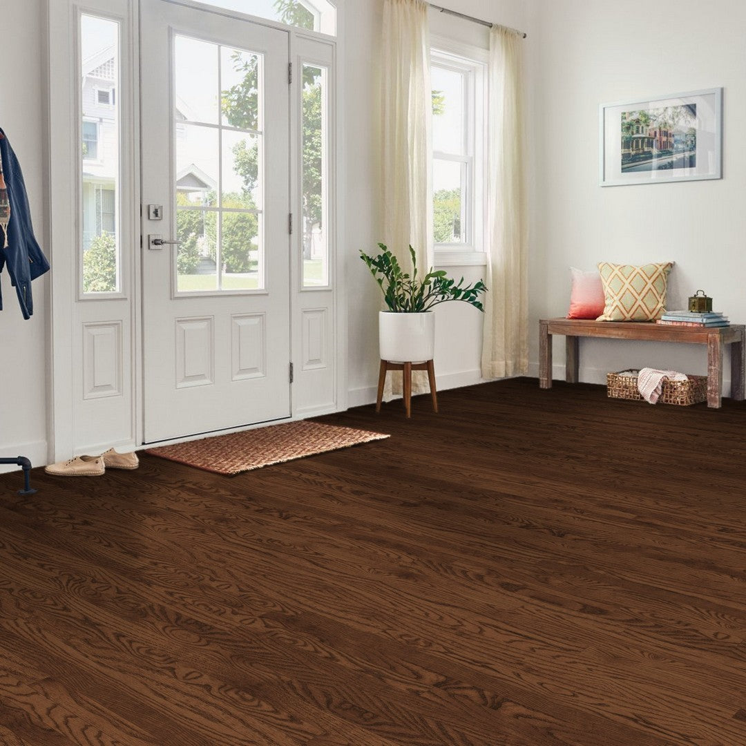 Bruce-Dundee-Strip-2-25-Solid-High-Gloss-Saddle